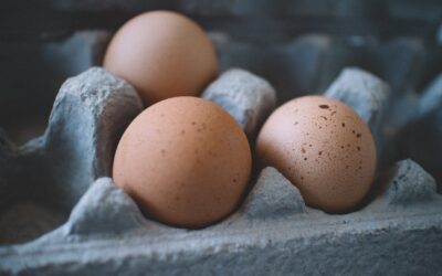 Eggs combat protein poverty