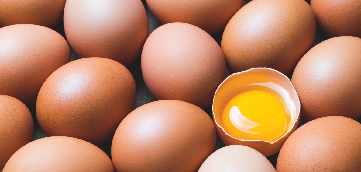 What Nutrients Does The Egg Yolk Have