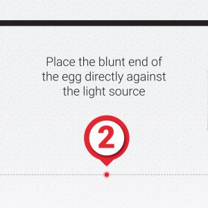 Epol How to Candle an egg 3
